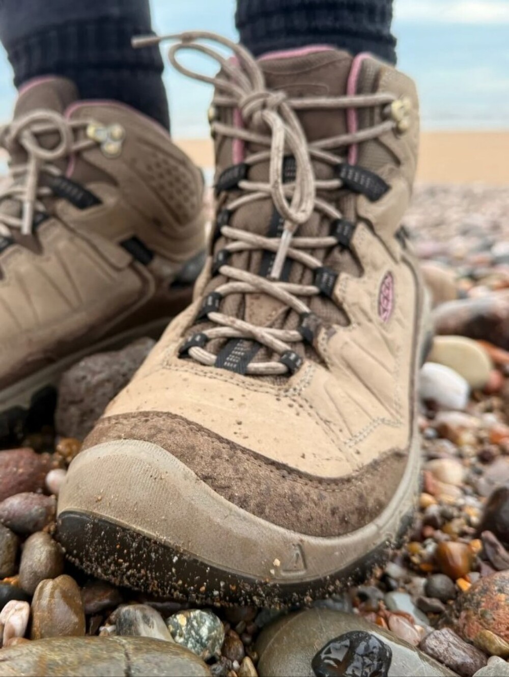 Targhee IV Mid Waterproof Hiking Boots